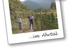 im Ahrtal